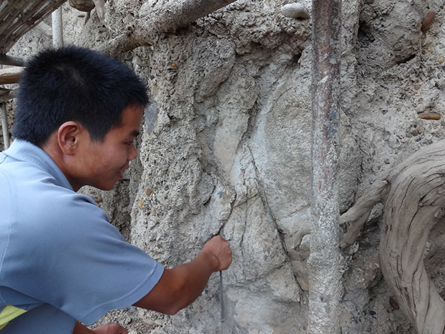 夢(mèng)幻巖石系列TCP