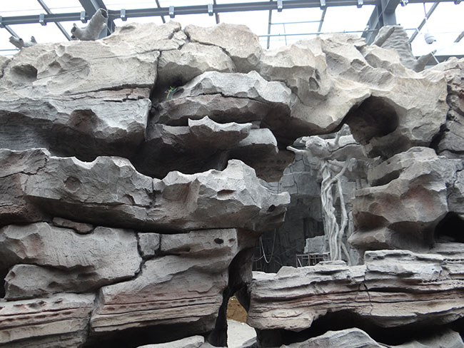 夢(mèng)幻巖石系列TCP