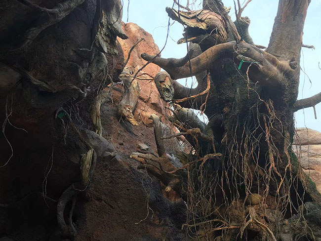 夢幻巖石系列TCP