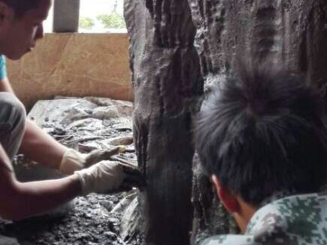 夢幻溶洞系列TCP